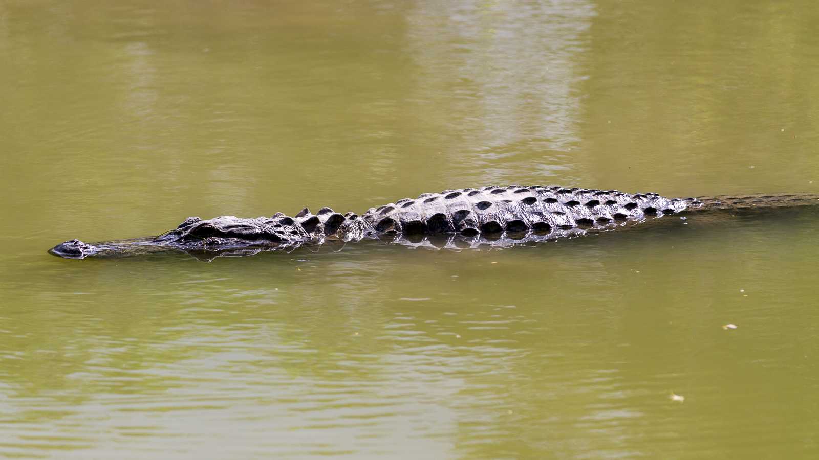 02 02 Homestead 054 IMG 5832