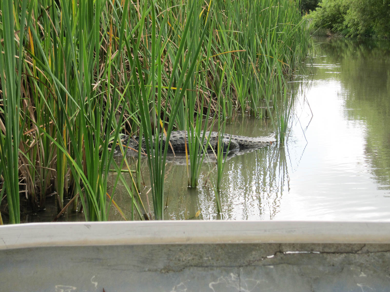 06 02 Homestead 008 IMG 3271